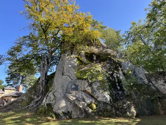 Odrzykoń, Poland – Apple iPhone 13
