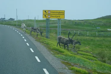 Vardø, Norway – SONY ZV-E10 – Sony FE 70-300mm F4.5-5.6 G OSS