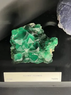 Vienna, Austria – Apple iPhone 13