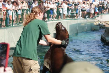 Vienna, Austria – SONY ZV-E10 – Sony FE 70-300mm F4.5-5.6 G OSS