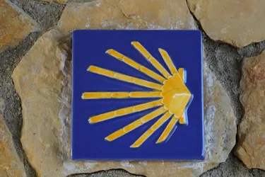 Šiauliai, Lithuania – SONY ZV-E10 – Sony FE 70-300mm F4.5-5.6 G OSS