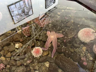 Kabelvåg, Norway – Apple iPhone 13