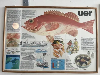 Kabelvåg, Norway – Apple iPhone 13