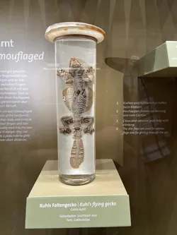 Vienna, Austria – Apple iPhone 13