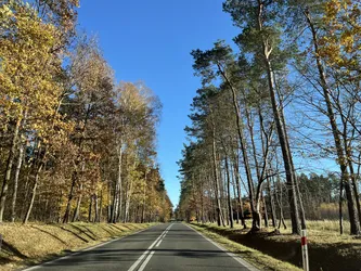 Photo from trip Jura Krakowsko-Częstochowska