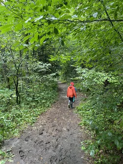 Zwierzyniec, Poland – Apple iPhone 12