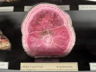 Vienna, Austria – Apple iPhone 13