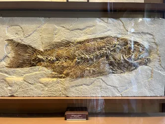 Vienna, Austria – Apple iPhone 13