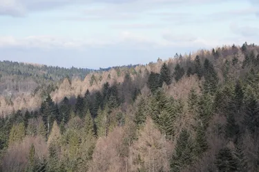 Photo from trip Beskid Sądecki