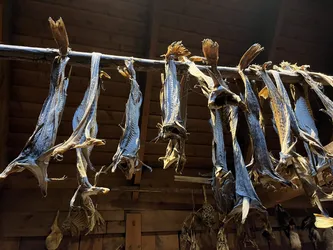 Evjen, Norway – Apple iPhone 13