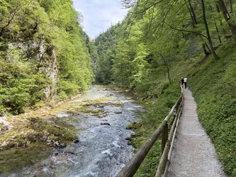 Blejska Dobrava, Slovenia – Apple iPhone 17
