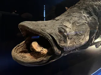 Vienna, Austria – Apple iPhone 13