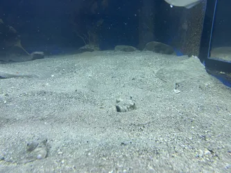 Kabelvåg, Norway – Apple iPhone 13