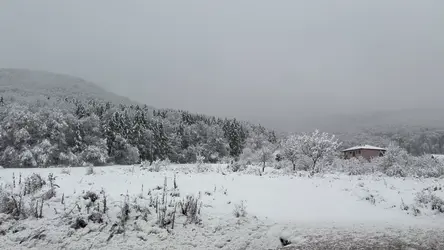 Căpuşu Mare, Romania – Apple iPhone 17