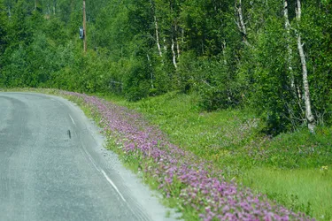 SONY ZV-E10 – Sony FE 70-300mm F4.5-5.6 G OSS