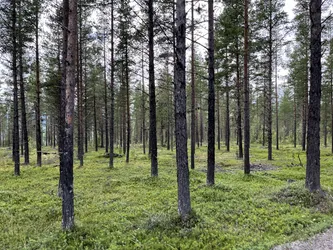 Dale, Norway – Apple iPhone 13