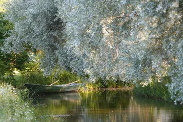 SONY ZV-E10 – Sony FE 70-300mm F4.5-5.6 G OSS