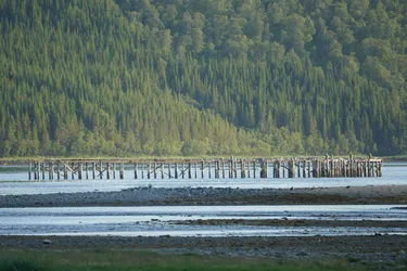 SONY ZV-E10 – Sony FE 70-300mm F4.5-5.6 G OSS