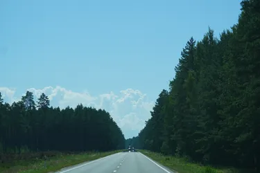 Limbaži, Latvia – SONY ZV-E10 – Sony FE 70-300mm F4.5-5.6 G OSS