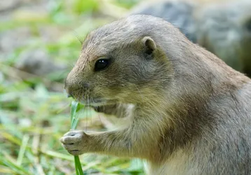 Vienna, Austria – SONY ZV-E10 – FE 70-300mm F4.5-5.6 G OSS