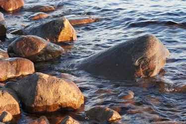 SONY ZV-E10 – Sony FE 70-300mm F4.5-5.6 G OSS