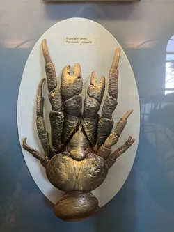 Vienna, Austria – Apple iPhone 13