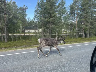 Finland – Apple iPhone 13