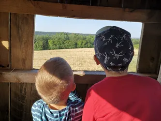 Tereszpol, Poland – HUAWEI HMA-L29