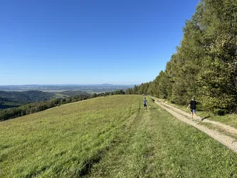 Nowy Żmigród, Poland – Apple iPhone 13