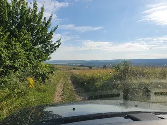 Kawęczyn, Poland – samsung SM-G970F