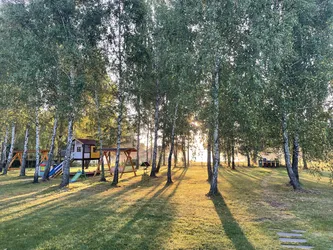 Zwierzyniec, Poland – Apple iPhone 12