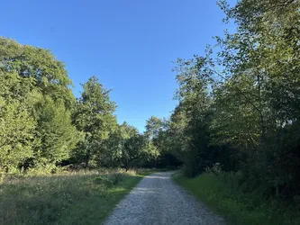 Krempna, Poland – Apple iPhone 13