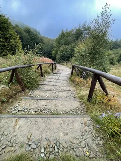 Nyzhnii Turiv, Ukraine – Apple iPhone 12