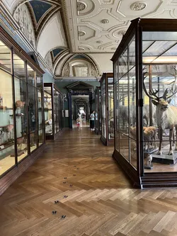 Vienna, Austria – Apple iPhone 13