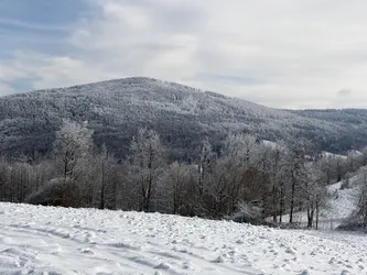 Walim, Poland – Apple iPhone 17