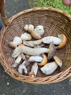 Łęki Dukielskie, Poland – Apple iPhone 13