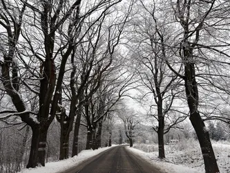 Walim, Poland – Apple iPhone 17