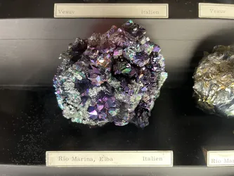 Vienna, Austria – Apple iPhone 13