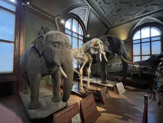 Vienna, Austria – Apple iPhone 13