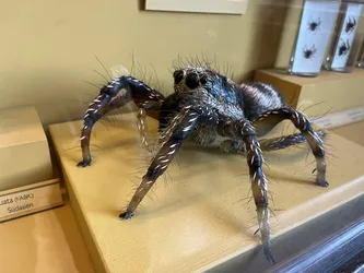 Vienna, Austria – Apple iPhone 13