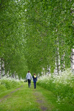 Keminmaa, Finland – SONY ZV-E10 – Sony FE 70-300mm F4.5-5.6 G OSS