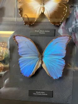 Vienna, Austria – Apple iPhone 13