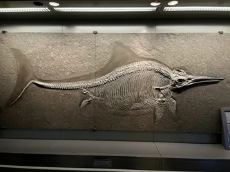 Vienna, Austria – Apple iPhone 13