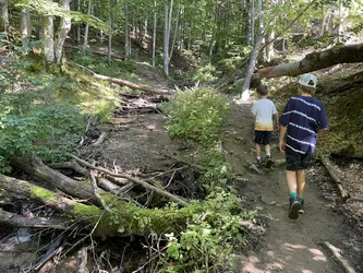 Photo from trip Bieszczady
