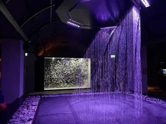 Przedmieście Oławskie, Poland – Apple iPhone 17