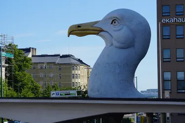 SONY ZV-E10 – Sony FE 70-300mm F4.5-5.6 G OSS