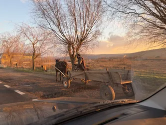 Crăciunelu de Jos, Romania – Apple iPhone 17