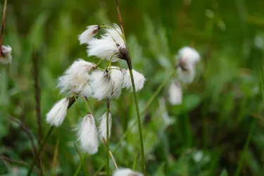 Vardø, Norway – SONY ZV-E10 – Sony FE 70-300mm F4.5-5.6 G OSS