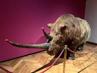 Vienna, Austria – Apple iPhone 13