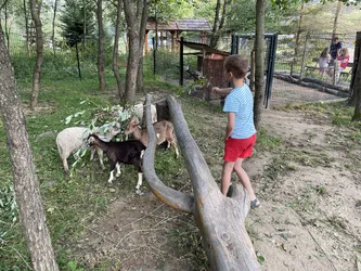 Photo from trip Bieszczady and Beskid Niski